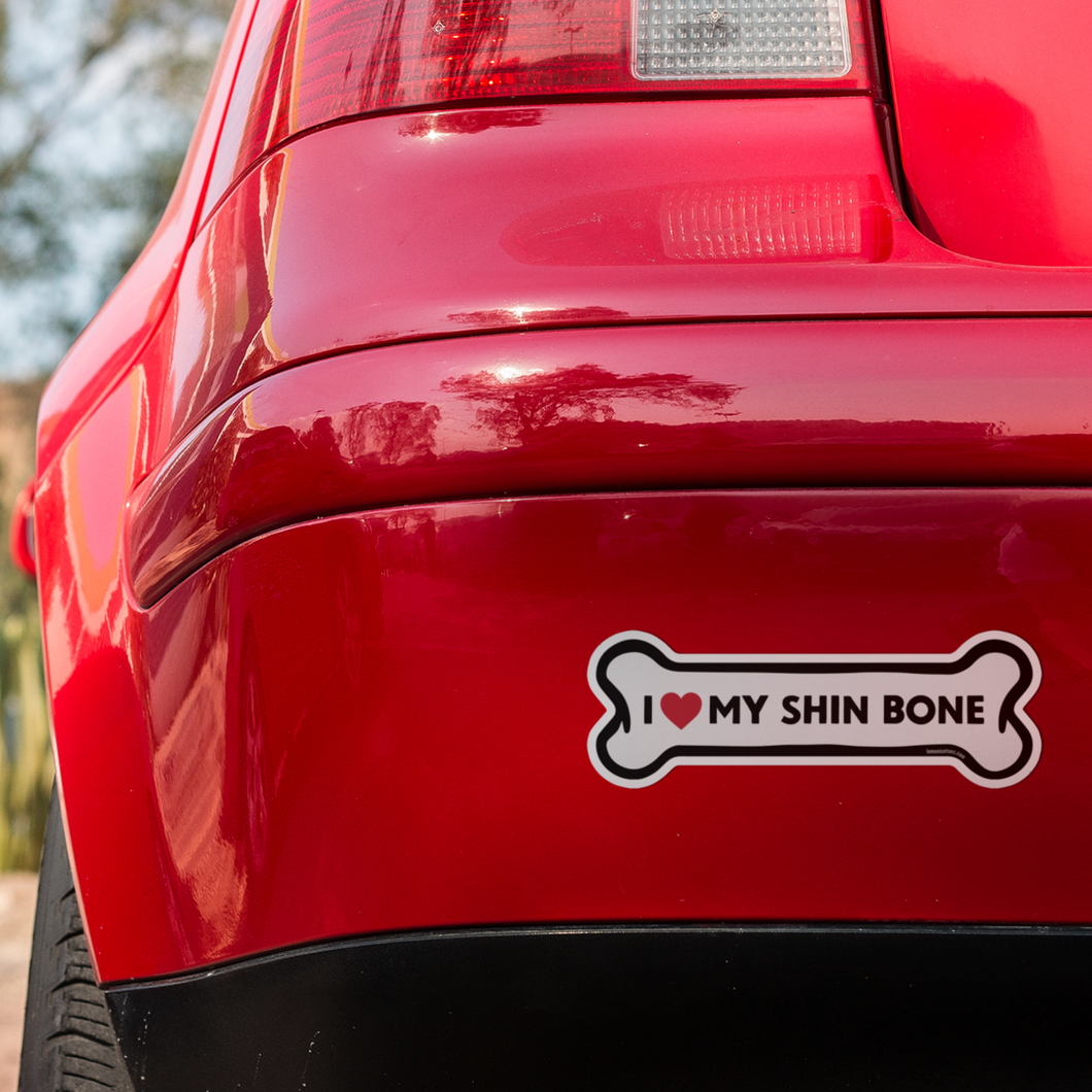 I Love My Shin Bone - Sticker